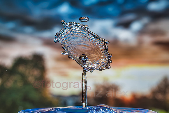 AE5D1362_20191109_01.jpg