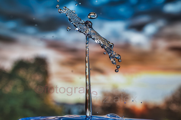 AE5D1351_20191109_01.jpg