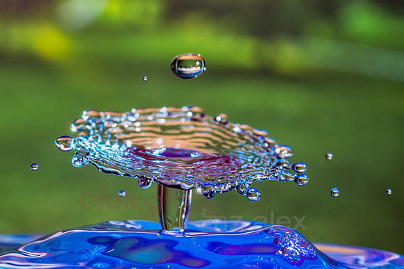AE5D1303_20191108_01.jpg