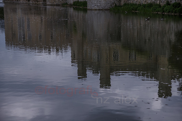 DI0R4942.jpg