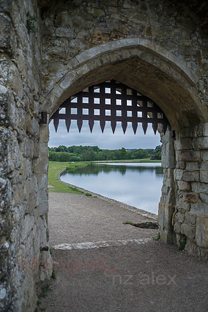 DI0R4938.jpg