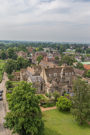 DI0R7006.jpg