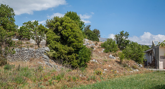 _MG_2737.jpg