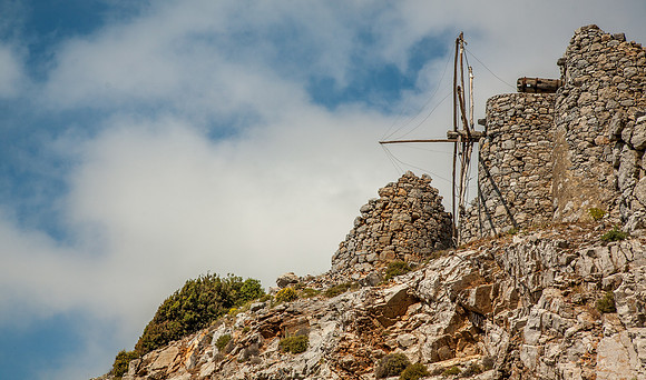 _MG_2739.jpg