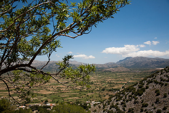 _MG_2690.jpg