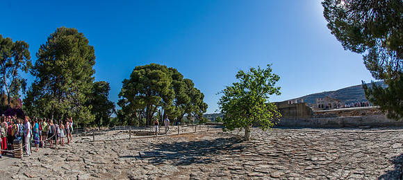 _MG_2608.jpg