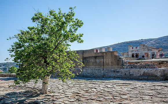 _MG_2606.jpg