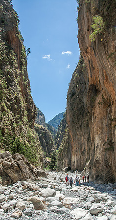 _MG_2524.jpg