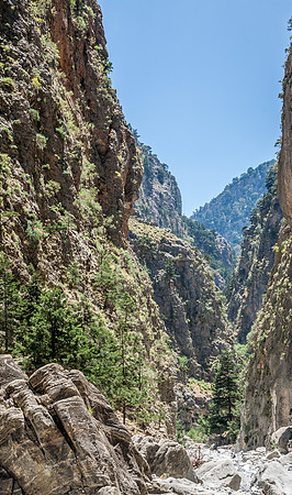 _MG_2526.jpg