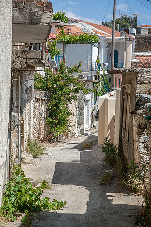 _MG_2726.jpg
