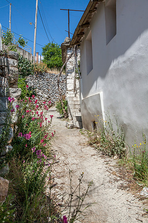 _MG_2725.jpg