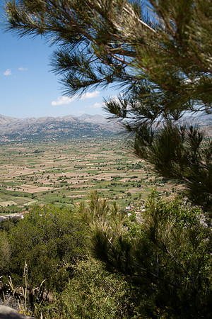 _MG_2688.jpg