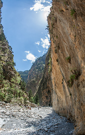 _MG_2533.jpg