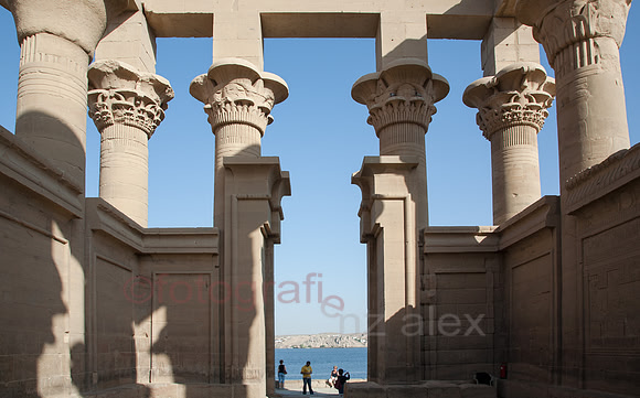_MG_0261.jpg