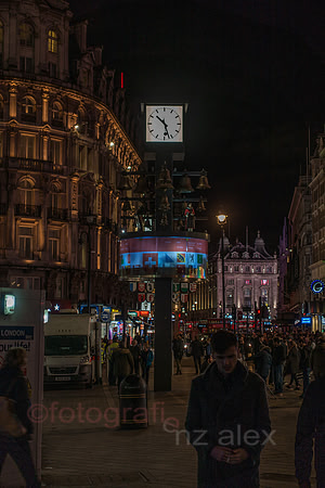 DSC00593.jpg