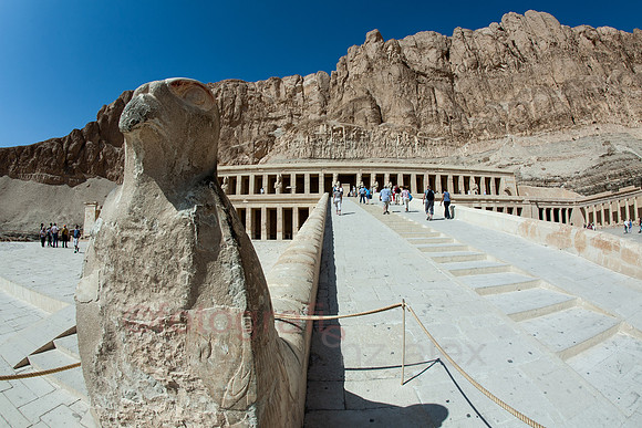 _MG_9757.jpg