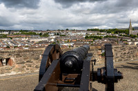 AER52527.jpg
