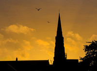 IMG_6828.jpg