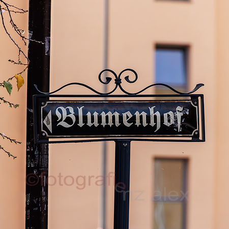 AER55759.jpg