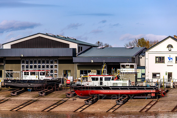 AER55795.jpg