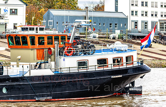 AER55828.jpg