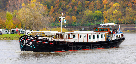 AER55824.jpg