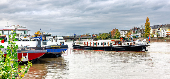 AER55831.jpg