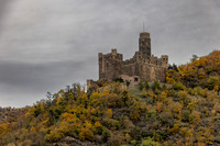 AER55946.jpg