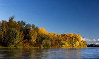 AER55978.jpg