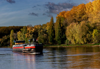 AER55989.jpg