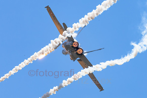 AER39169.jpg