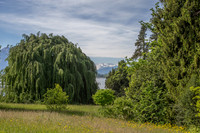 Cham St. Andreas