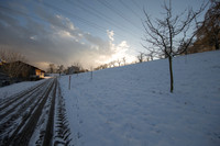 Winterlandschaften