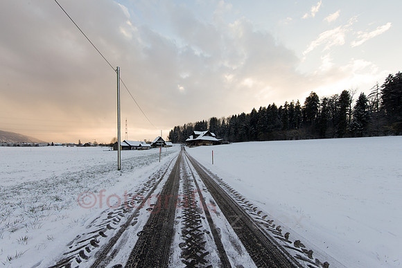 DI0R9316-Bearbeitet.jpg
