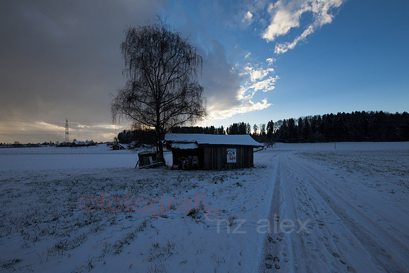 DI0R9313-Bearbeitet.jpg