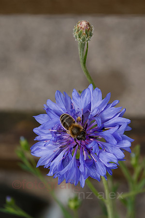 DI0R5380.jpg