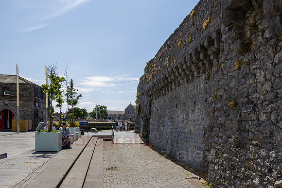 AER53226.jpg