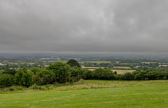 AER53674.jpg