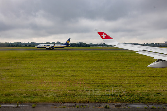 AER54304.jpg