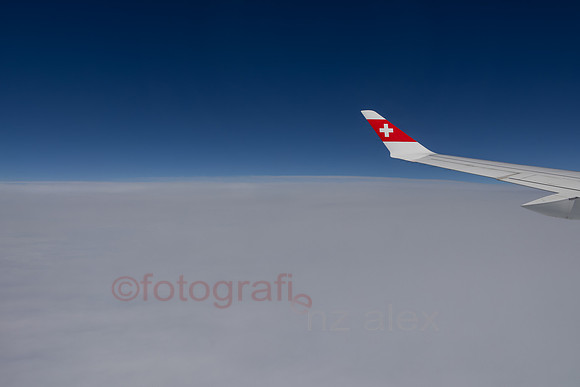 AER54325.jpg