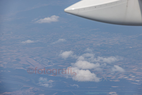 AER54335.jpg
