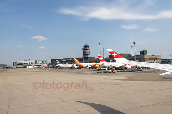AER54382.jpg