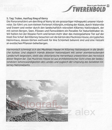 2023-06-15_Tralee Ausflug Ring of Kerry-Tralee_20230615_01.jpg