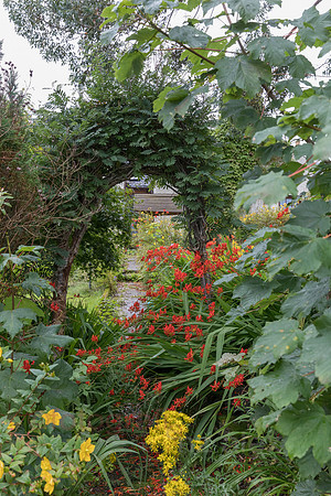 AE5D3015.jpg