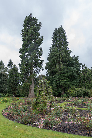 AE5D3104.jpg