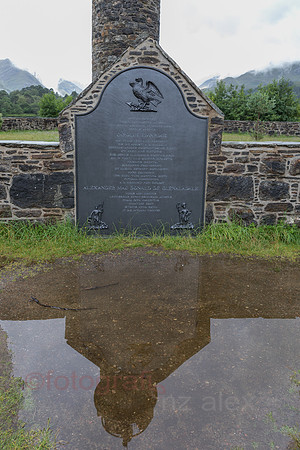 AE5D3181.jpg