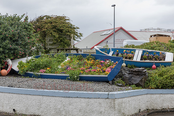 AE5D3219.jpg