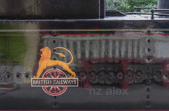 AE5D3468.jpg