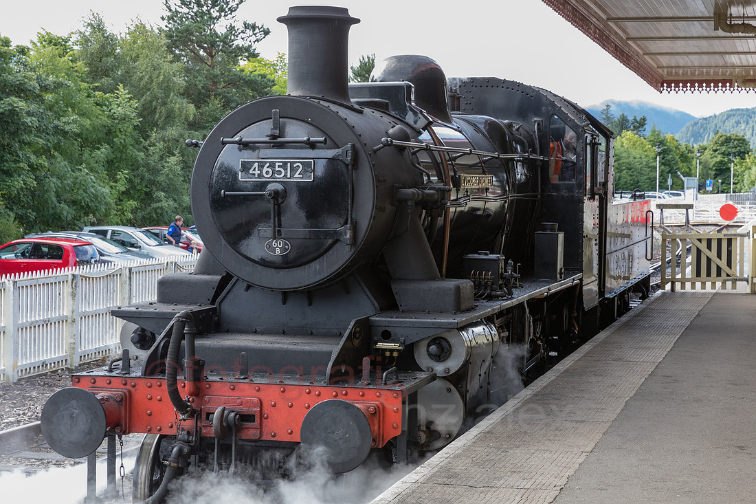 AE5D3490.jpg