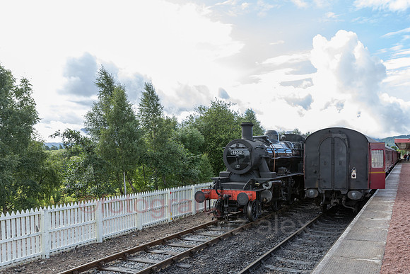 AE5D3494.jpg
